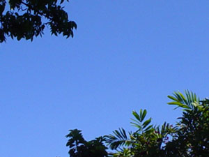 cloudless